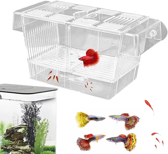 1/2 Fish Acclimation Box - Acrylic Hatchery Incubator Tank, Fish Breeder Box with 2 Suction Cups | Easily Install Breeding Isolation Box, Floating Breeding Box for Baby Fishes Shrimp Betta Guppy