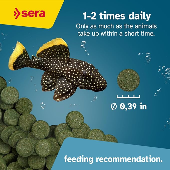 Sera Spirulina Tabs Nature 24 Tabs Plant-Based Food for Fresh Saltwater Fish | Boosts Digestion & Vitality | Free from Dyes & Preservatives | Ideal for Herbivorous Aquarium Inhabitants