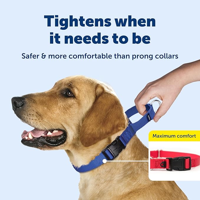 PetSafe Martingale Collar with Quick-Snap Buckle - Adjustable No-Slip Quick Release Dog Collar - Everyday Wear No-Pull Training Aid - 1" Wide - Large - Black