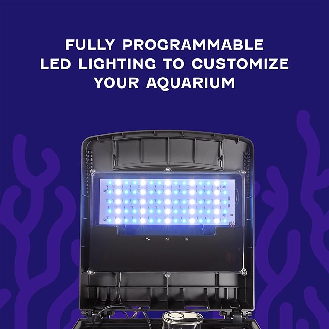 Coralife Smart BioCube Jr, Aquarium Kit, Wi-Fi and Bluetooth Compatible, for Saltwater and Freshwater Environments, 14 Gallons