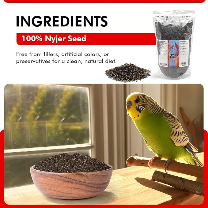 Morning Bird Nyjer Seed for Birds 1.5 lbs – Energizing Nutrition with Rich Natural and Healthy Fats – Ideal Bird Food for Breeding & Molting – Great for Canaries, and Other Seed-Eating All Birds