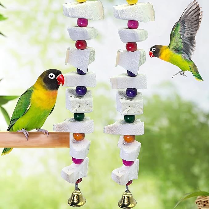 2 Pack Bird Toys, Parakeet Toys with Cuttlebone, Natural Cuttle Bone Bird Beak Grinding Stone & Parrot Chew Cuttlebone Cage Accessories with Bell for Budgie, Conure, Lovebird - 12 Pieces