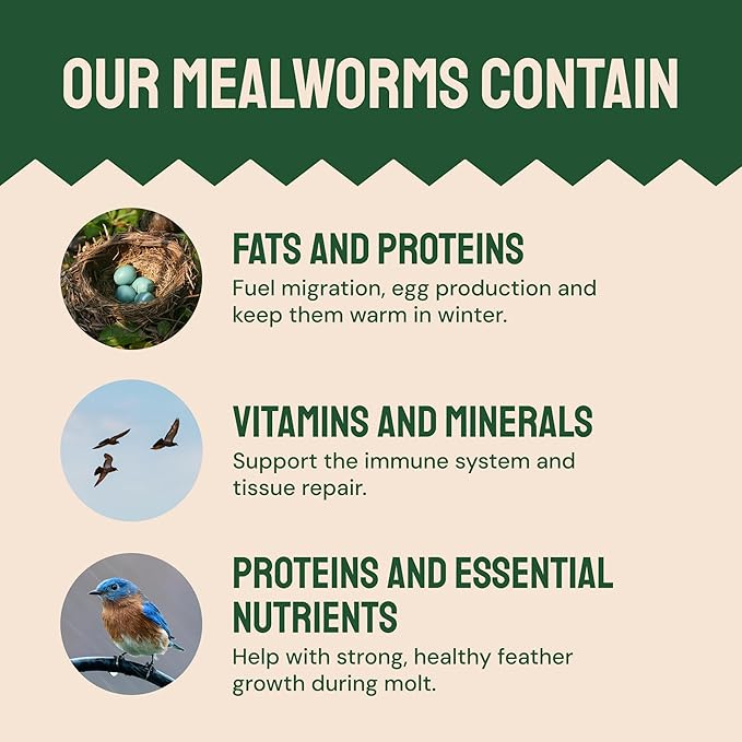 Hatortempt 2lb Dried Mealworms for Chickens - 50% Protein and 32% Essential Fats to Support Healthy Feather Growth During Molt - Organic Treats for Chickens, Ducks, Wild Birds & Reptiles