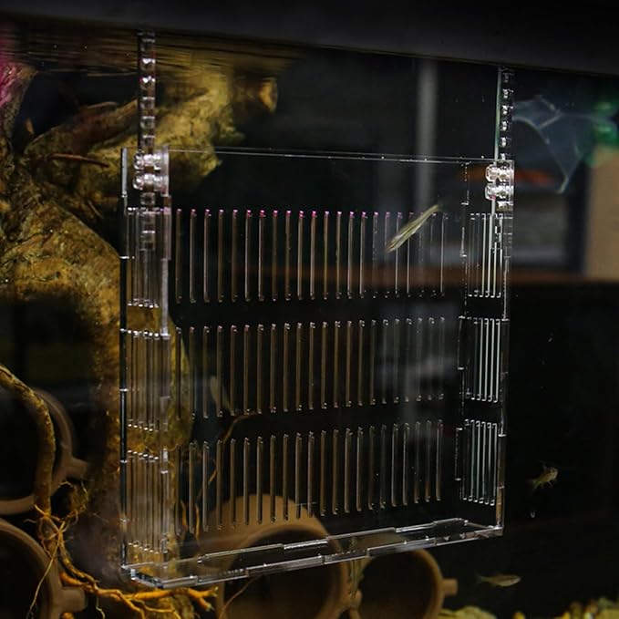 Guppy Breeding Box Aquarium Nursery Incubator Acrylic Hanging Fish Isolation Box with Suction Cups Medium Size for Betta and Shrimp Hatchery