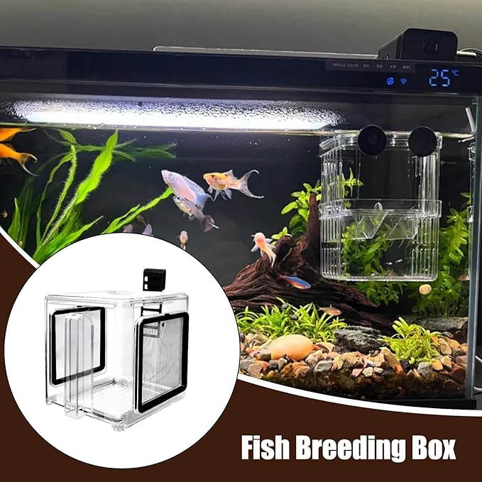 Aquarium Nursery Cage, Water Tank Breeding Container, Fish Separation Tray, Hatchery Incubator Accessory, Shrimp and Guppy Grow Box, Saltwater Isolation Basket for Small Fish and Crustaceans