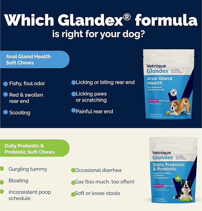 Vetnique Glandex Daily Probiotics for Dogs with Prebiotics to Support Gut Health with Fiber and Digestive Enzymes, Dog Probiotic Chews or Powders (120ct Chews, Bacon Chews)