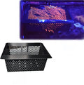 Floating Coral Basket for Reef Tanks (4x6 inch), Anemone Frag Isolator with Removable Magnetic OR Suction Cup Pod, Saltwater Aquarium Safe