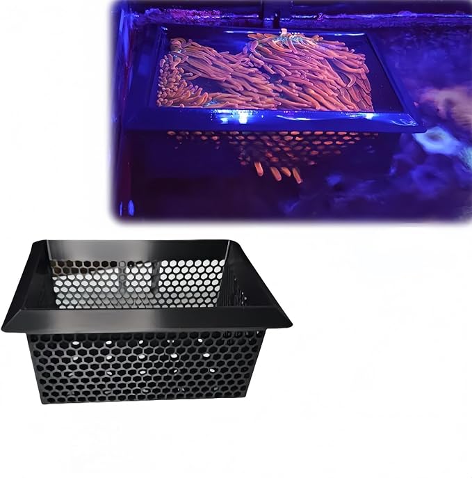 Floating Coral Basket for Reef Tanks (4x6 inch), Anemone Frag Isolator with Removable Magnetic OR Suction Cup Pod, Saltwater Aquarium Safe