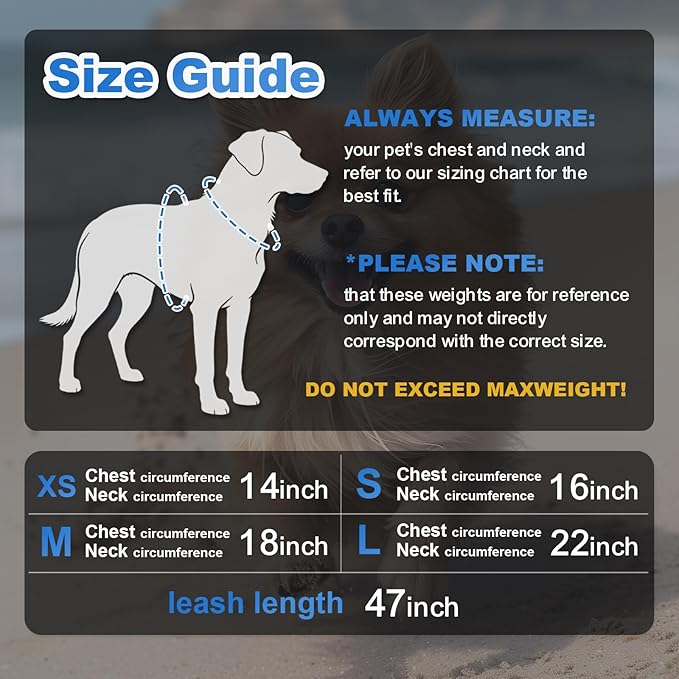 Dog Harness Medium Sized Dogs, Puppy Harness and Leash Set for Training, Running, Walking, Suitable for Small and Medium Dog Vest, Blue, S