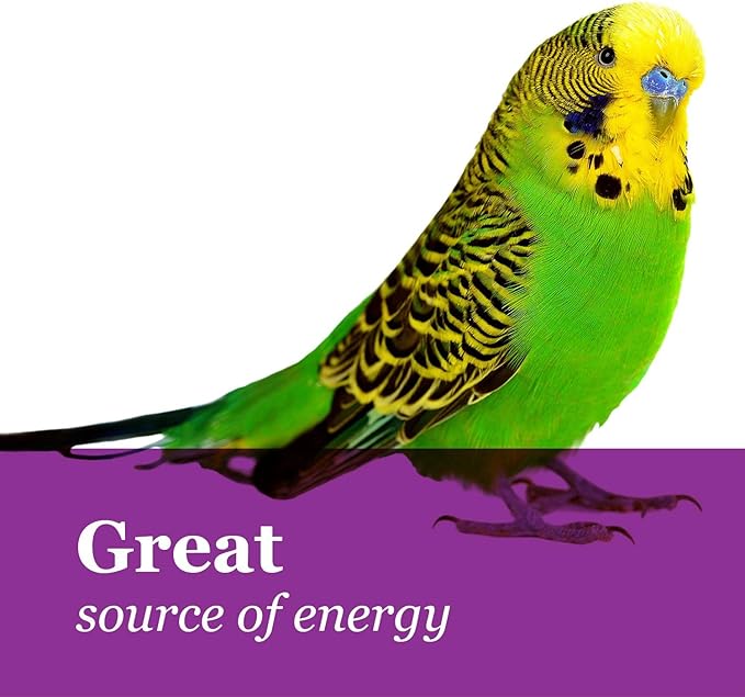 F.M. Brown's Tropical Carnival Natural Mini Spray Millet Foraging Treat for Canaries, Finches, Parakeets, Cockatiels, and Parrots, 4-oz Bag - USA Grown and Harvested