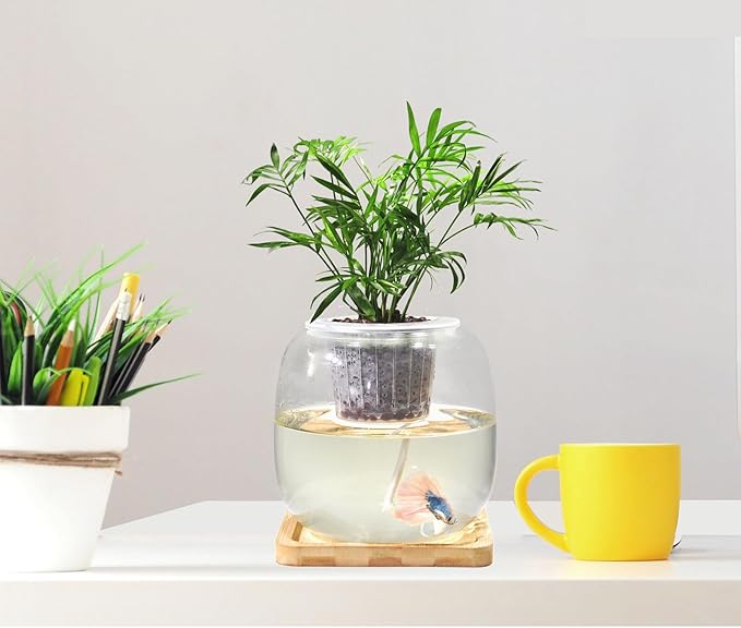 Fish Bowl Glass Small Betta Fish Tank with Bamboo Stand, Plant Propagation Station Hydroponic Terrarium with Lid Small Aquarium 0.6 Gallon