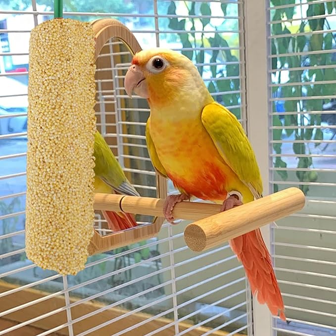 Bird Treat Stick Set, Chewing Training Reward Snacks, Multi Species Nutrition for Cockatiel Finch and Parrot, Natural Seed Blend Formula, Free Hanging Design, Healthy Enrichment Support