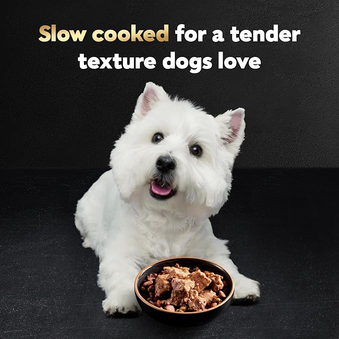 Cesar Loaf & Topper in Sauce Wet Dog Food, Angus Beef Flavor with Bacon & Cheese, Wet Food for Dogs, 3.5 oz Easy Peel Trays, 24 Count