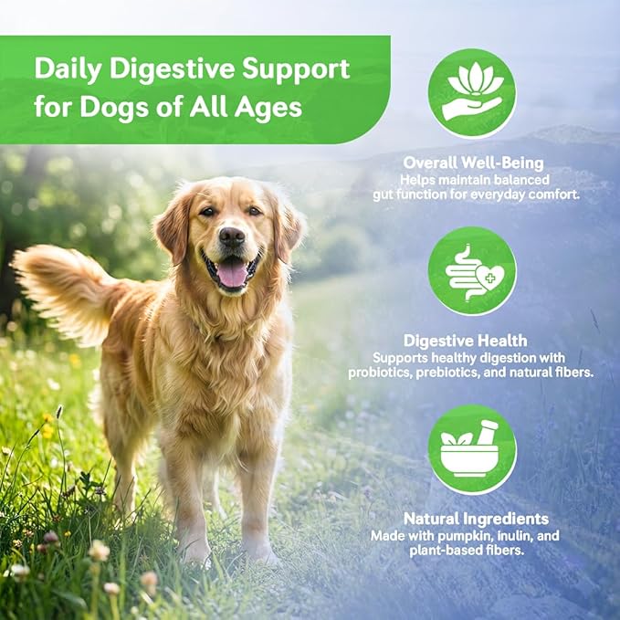 Dog Probiotics Chews – 6 Billion CFU with Prebiotics, Pumpkin, Inulin, Chicory Root & Digestive Enzymes – Supports Gut Health, Digestion, Immunity & Regularity – Natural oft Chews for Dogs