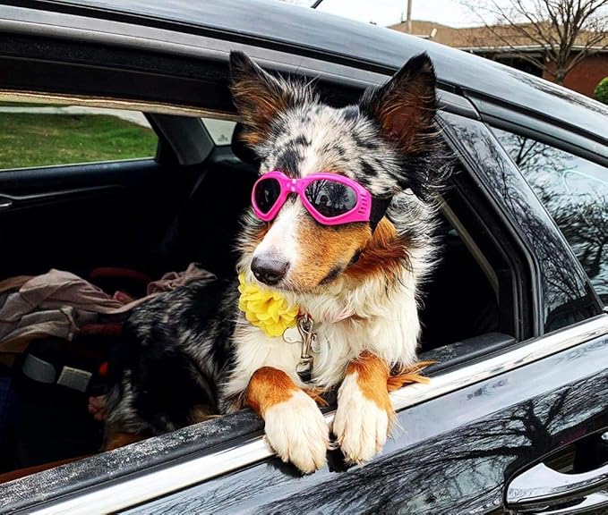 Petleso Dog Goggles Medium Breed, Small Dog Sunglasses Pet Eye Protection Windproof Anti-UV for Small to Medium Dogs, Pink