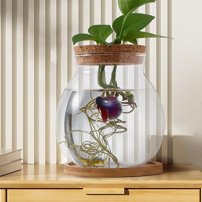 Desktop Fish Tank Small Glass Fish Bowl with Cushion 5.51X5.11X1.18In Hydroponic Plant Terrarium Betta Bowl for Home Office Decoration