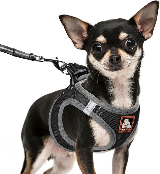 Dog Harness Medium Sized Dogs, Puppy Harness and Leash Set for Training, Running, Walking, Suitable for Small and Medium Dog Vest, Black, L