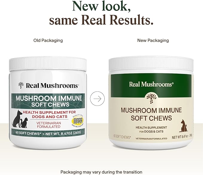 Real Mushroom Immune Pet Chews – For Daily Digestive & Immune Health – Mushrooms for Dogs & Cats Functional Treat – Mushroom Supplement for Dogs & Cats – 1 to 4 Chews For All Breeds & Sizes (60 Count)