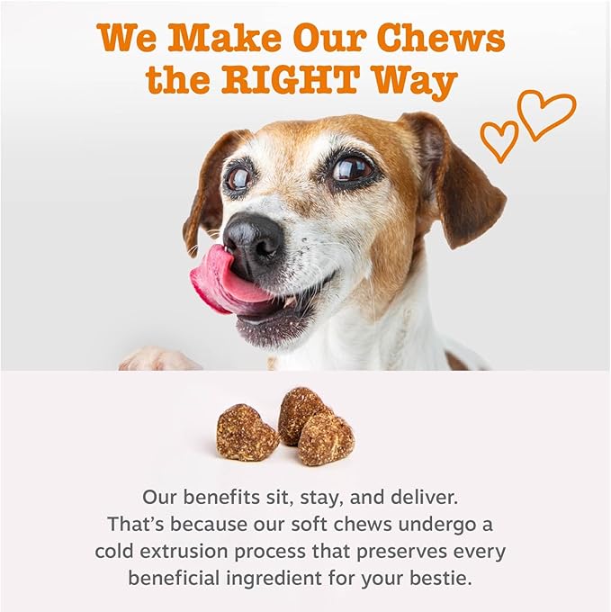 Zesty Paws Senior Dog Multivitamin Treats - Glucosamine for Dogs + Digestive Enzymes & Probiotics - Grain Free Dog Vitamins and Supplements for Skin & Coat + Immune Health Beef - Advanced - 90ct