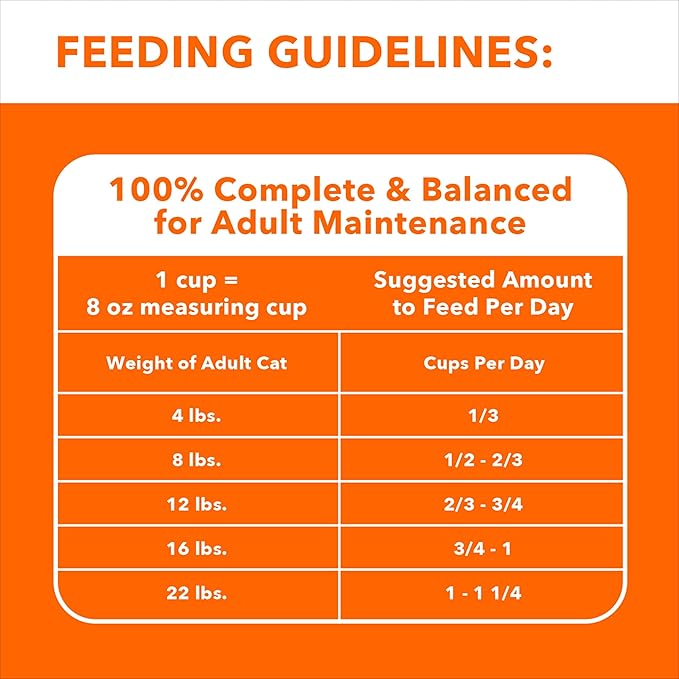 IAMS Healthy Enjoyment Dry Cat Food Chicken & Salmon Recipe, Cat Food Dry Recipe, 6 lb. Bag