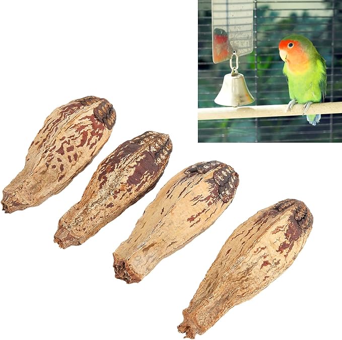 Parrot Chew Nuts, Natural Dried Nut Treats, 5 Bags - Boredom Relief, Mouth Sharpening, Home Decorative Pet Toy for Birds