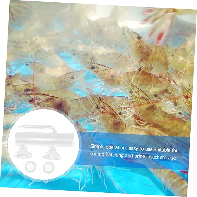 Homoyoyo 1set Cup Fish Incubator and Isolation Container for Fish Tanks Breeding Box for Hatching Prevents