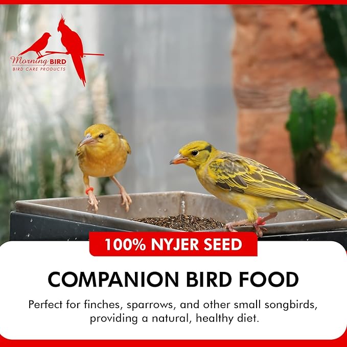 Morning Bird Nyjer Seed for Birds 1.5 lbs – Energizing Nutrition with Rich Natural and Healthy Fats – Ideal Bird Food for Breeding & Molting – Great for Canaries, and Other Seed-Eating All Birds