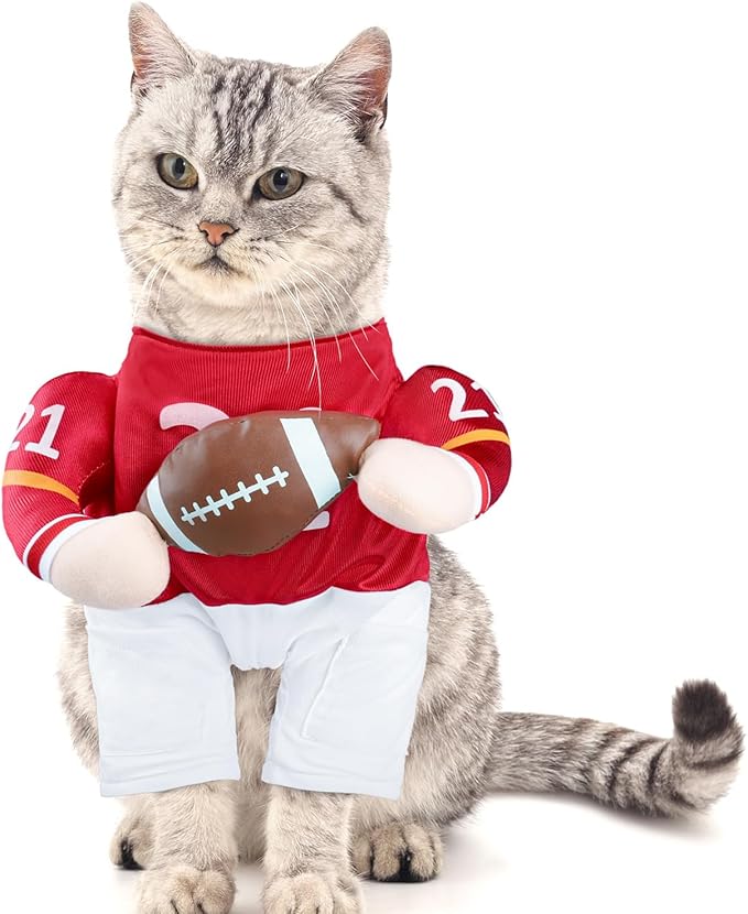 DELIFUR Football Player Dog Costume - Adjustable Funny Halloween Costume for Cat and Puppy (Football, X-Small)