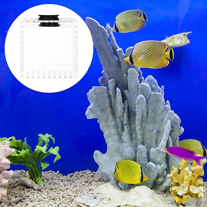 Toyvian 1pc Magnetic Fish Isolation Box Aquarium Breeding Case for Safe Fish Separation and Adaptation for Fry Easy to Install Tank