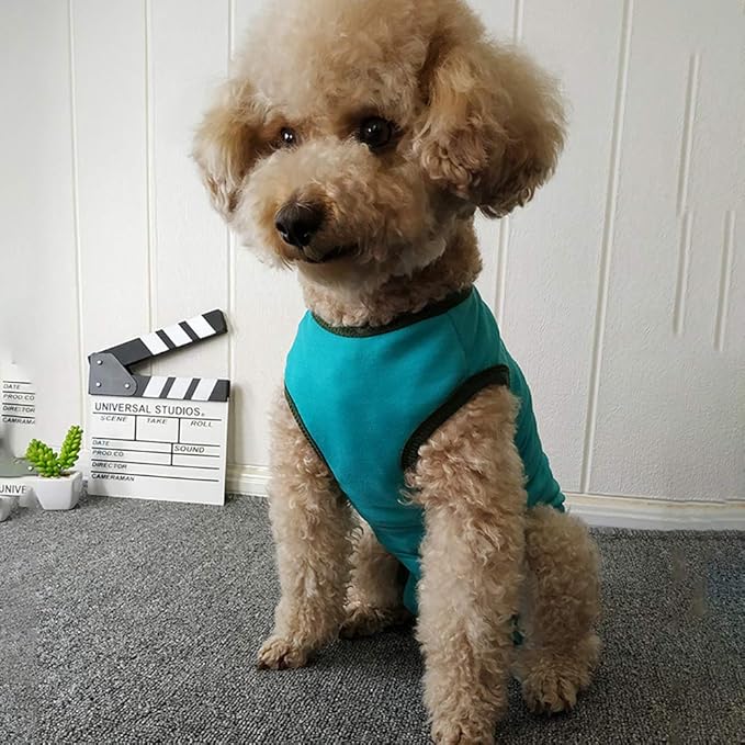 Dog’s Recovery Suit Post Surgery Shirt for Puppy, Wound Protective Clothes for Little Animals(Blue-XL)