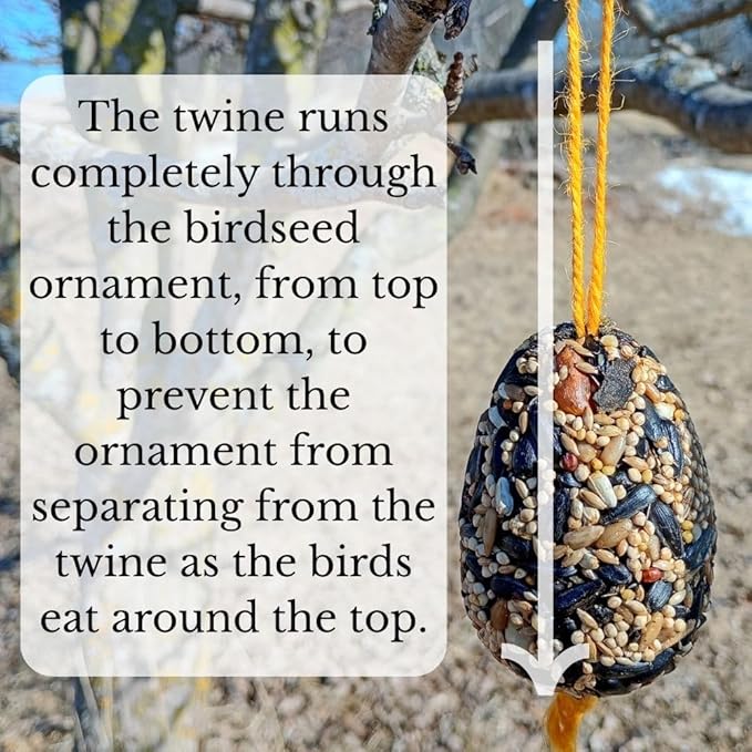 Birdseed Ornaments for Outside - Set of 3 for Wild Birds - Premium Quality - Wild Bird Treats - Egg-Shaped Hanging Birdseed Ornaments