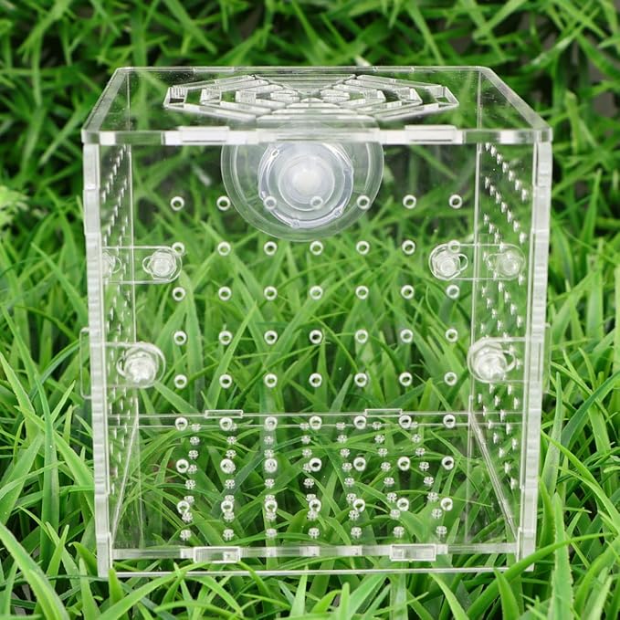 HOMSFOU Acrylic Fish Breeding Tank Box with 2mm Round Hole Suction Cup 10x10x10cm Isolation Aquarium Hatchery Incubator for Fish Fry and Betta Breeders