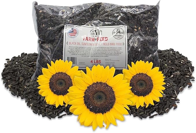 | Four Season | Black Oil Sunflower Seed | 4 Pounds | Wild Bird Food | Backyard Songbird