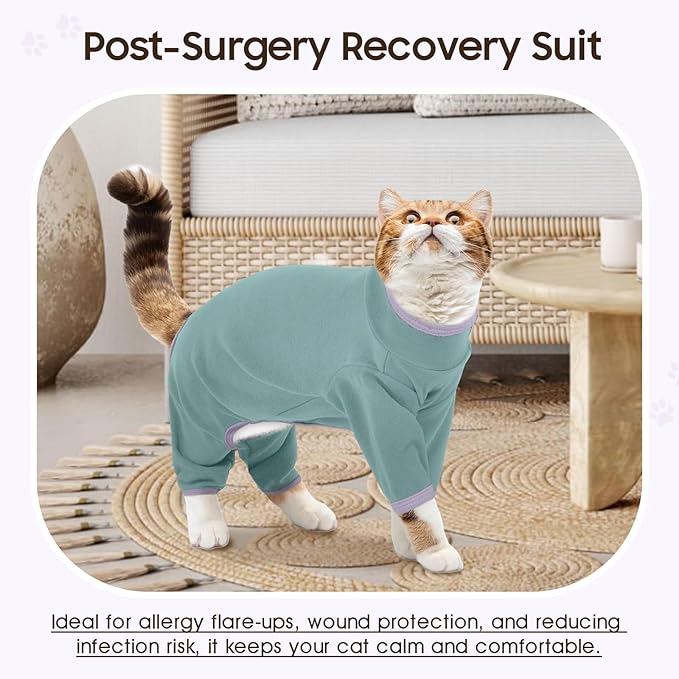 DENTRUN Cat Clothes for Hair Control with Hair Sticky Fabric - Soft Recovery Suit & Breathable Lint-Resistant Cat Sweater for Cats Only, Kitten Onesie Pajamas, S, Bean Green