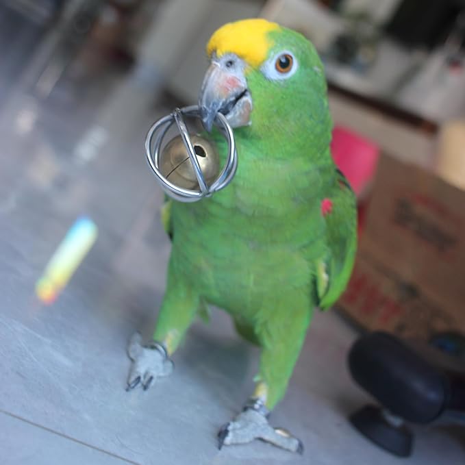 Heavy-Duty Stainless Steel Large Parrot Toy — Chew-Proof Foraging Ball (with Bell), Suitable for Macaws, Eclectus Parrots, Amazon Parrots, etc. (Medium)