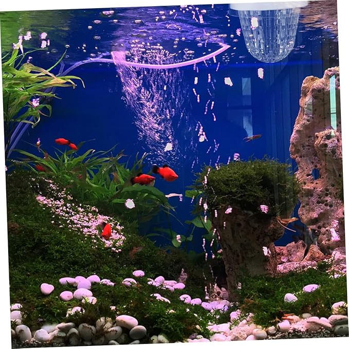 Toyvian 2pcs Aquarium Breeding Box Floating Incubator for Fish Tank Transparent Isolation Box for Guppies Easy Installation High-Efficiency Isolation Safe Environment for Fry and Mother