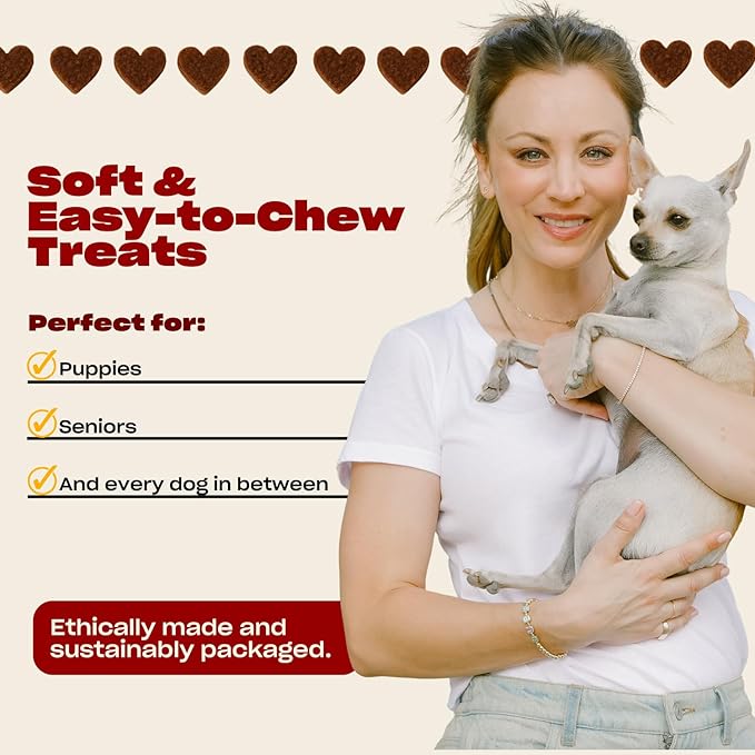OH NORMAN! Dog Training Treats by Kaley Cuoco - Low Calories, Low Fat & Wholesome Training Treats with Pork - Doggie Treats for Seniors, Puppies, All Breeds & Life Stages