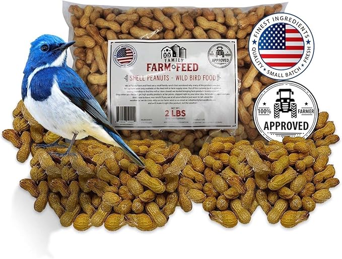 | Four Seasons | in Shell Peanuts | Wild Bird Food | Backyard Songbird | 2 Pounds