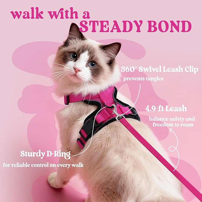rabbitgoo Cat Harness and Leash for Walking, Escape Proof Soft Adjustable Vest Harnesses for Cats, Easy Control Breathable Reflective Strips Jacket, Rose Red,S