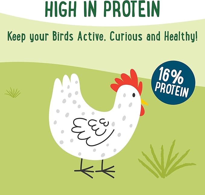 Manna Pro Farmhouse Favorites Forage Clusters for Chickens and Turkeys, Approx. 22 High-Protein Clusters with Black Soldier Fly Larvae, Carrots, Oats & Sunflower Kernels, Nutritious Poultry, 14oz