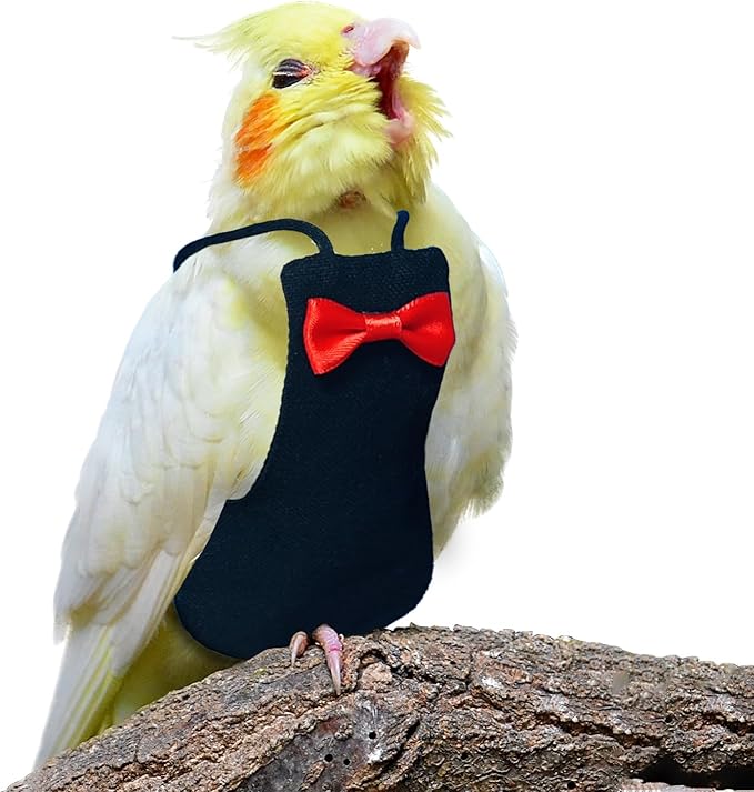 Bird Diaper Washable Reusable Parrot Flight Suit Nappies Protective Breathable Parrot Nappy Clothes for Parakeet, Macaw, Budgie, Canary, Cockatiel (Black, XL)