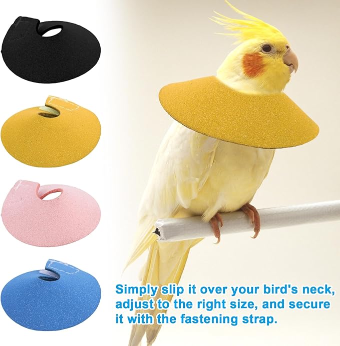 4pcs Bird Cone Collars, Anti-Grab Anti-Bite Bird Elizabethan Collars Parrot Cones for Lovebird Agapornis Budgerigar Cockatiel Cockatoo, Neck Safe Wound Safety