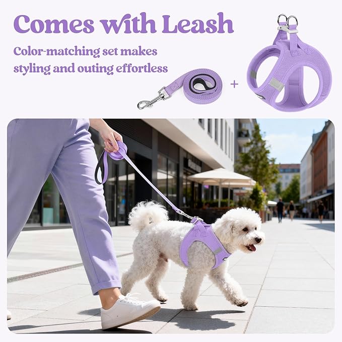 rabbitgoo Dog Harness Medium Sized and Leash Set, Step in Soft Light Puppy Vest, Breathable Mesh Pet Harness, Reflective for Safe Easy Walking, Light Purple XXL