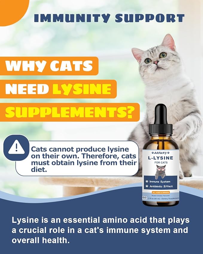L-Lysine Supplement for Cats - Immune Support - 60ML Lysine for Feline Respiratory, Sneezing, Runny Nose, Eye Function - Natural Cat Antibiotic Drops - Roast Chicken Flavor