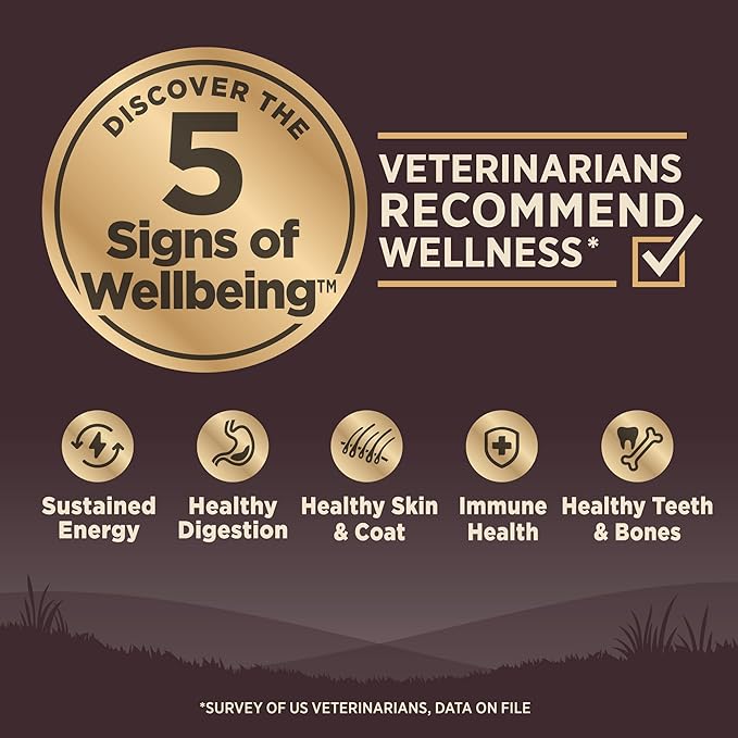 Wellness CORE Adult Dry Dog Food, Grain Free Kibble, Natural, High Protein, Lamb Recipe, 22 lb Bag