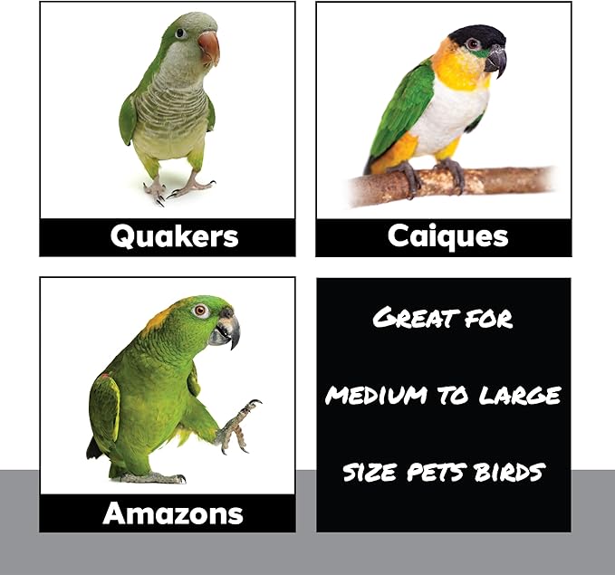 9001 Pk4 3.2 Inch Handmade Sola Wood Balls - Natural Bird Toys for Cage - Soft Shreddable Chewing Foot Toys for Cockatiel, Parakeet, Parrot & Conure - Safe Foraging Birdcage Accessories & DIY Parts