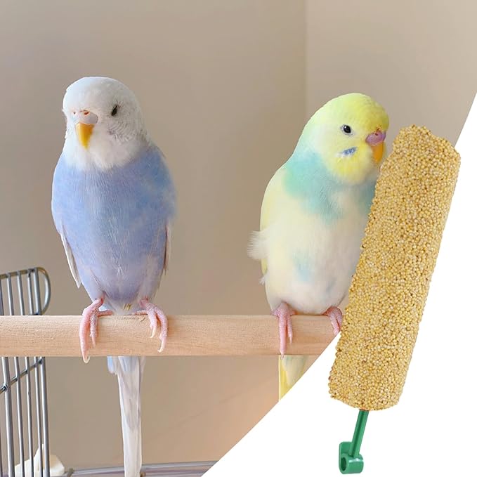 Bird Treat Stick Set, Chewing Training Reward Snacks, Multi Species Nutrition for Cockatiel Finch and Parrot, Natural Seed Blend Formula, Free Hanging Design, Healthy Enrichment Support