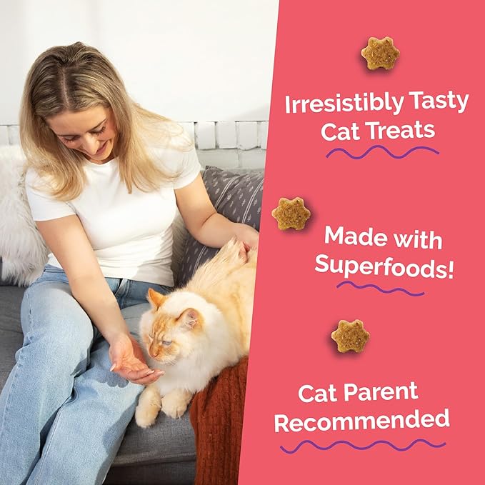 Fruitables Cat Treats - Healthy Low Calorie Crunchy Cat Treats - Packed with Protein, Limited Ingredients - Made with Real Salmon & Cranberry 2.5 oz (5 Pack)