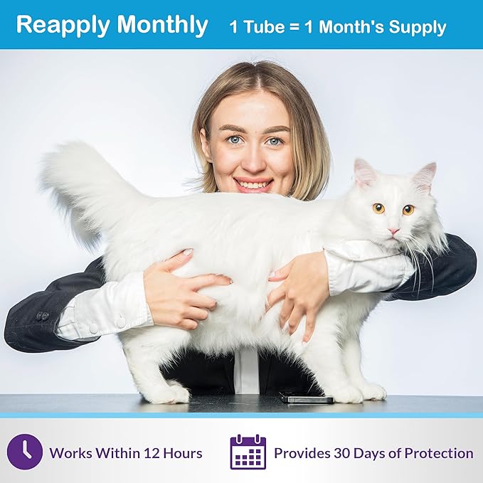 Topical Flea and Tick for Cats & Kittens: Waterproof Topical Cat Flea and Tick – Fast-Acting & Long - Lasting at Home Control for Cats Over 1.5 lbs and 8 Weeks or Older – 6-Dose Supply
