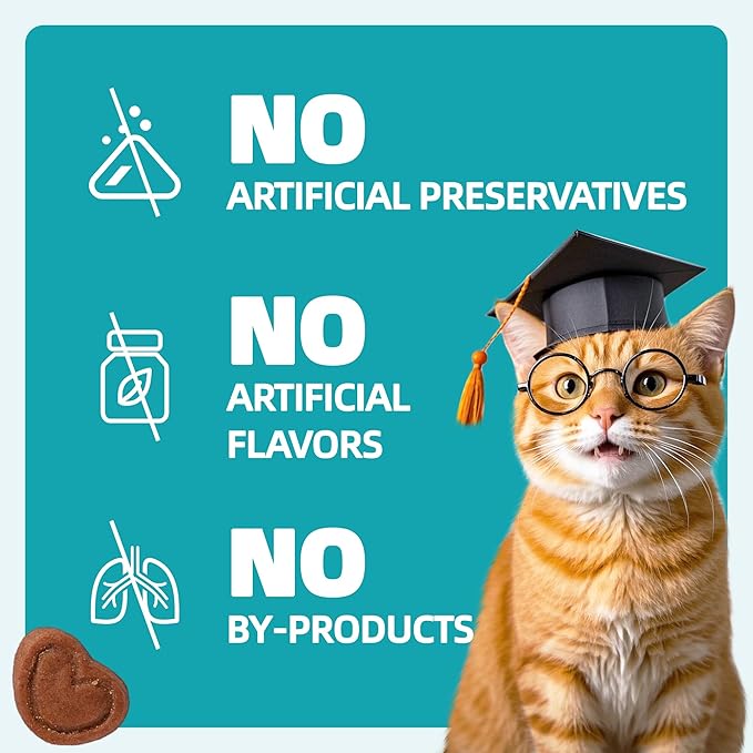Wellix 13.5oz Urinary Tract Health Supplement Cat Treats for Indoor Cats - Chicken Flavor Kitten Snacks for Support Kidney Bladder & Urinary Health Cat Training Biscuits - Add Dandelion & Cranberry